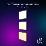 Razer Key Light Chroma Ref: RZ19-04120100-R3M1