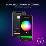 Razer Key Light Chroma Ref: RZ19-04120100-R3M1