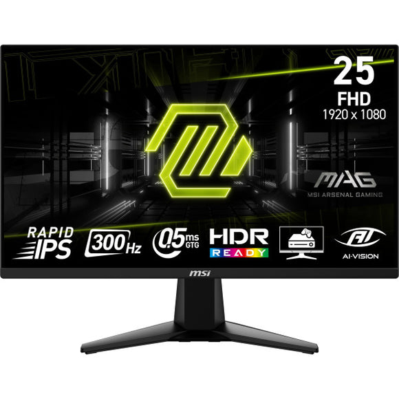 MSI MAG 255XF 24.5