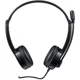 Rapoo H120